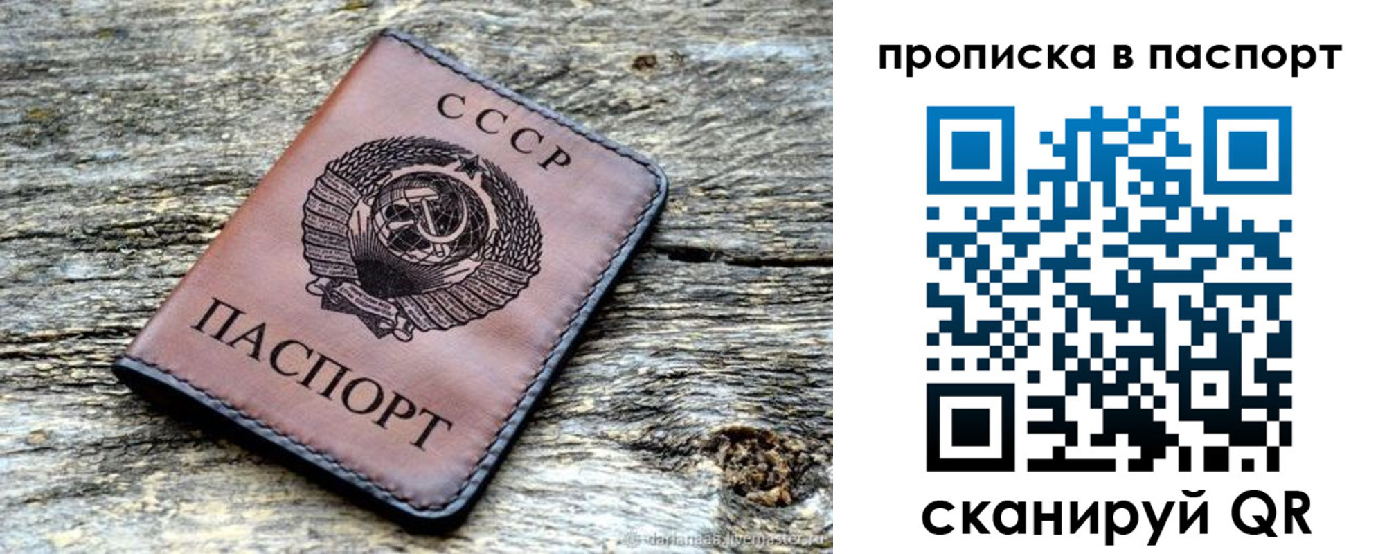 прописка ребенка в Сураже